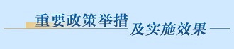 重要政策举措及实施效果